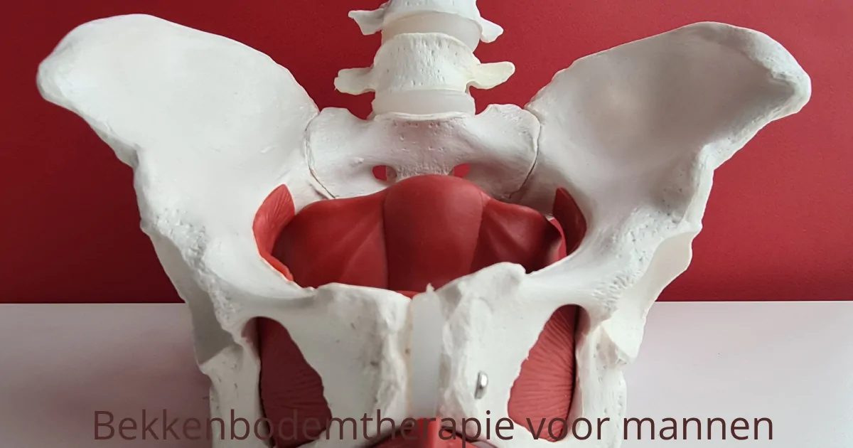 Bekkenbodemtherapie voor Mannen: Alles Wat Je Moet Weten