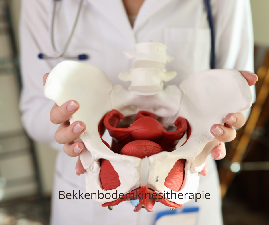 Bekkenbodemtherapie: Wanneer, Waarom en Wat te Verwachten